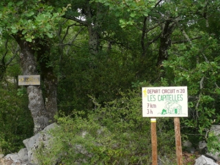 CAPITELLES DE CHANDOLAS-ardeche
