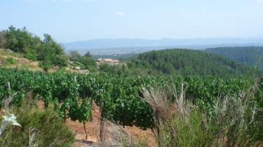 ST ANDRE LACHAMP-ardeche