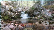 LOUBARESSE - RON DE COUCOULUDE-ardeche