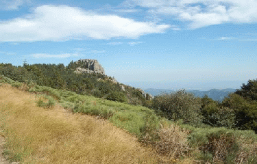FORET DE VALGORGE-ardeche