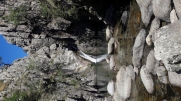 LE SAUT OU (LA PISSARELLE)-ardeche