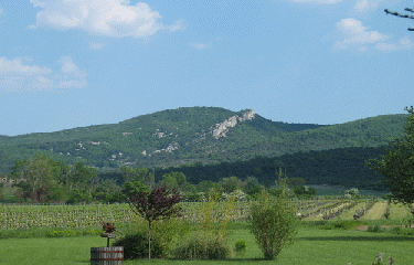 MONTAGNE DE LA SERRE-ardeche