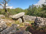RUOMS - RANC DE FIGERE L ABEILLE-ardeche