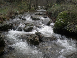 SAINT PIERREVILLE-ardeche