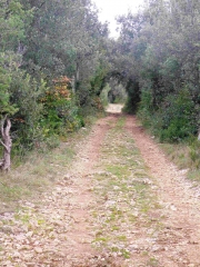 ROCHECOLOMBE-ardeche