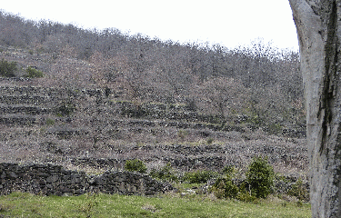 ALISSAS - CASCADE GOURNIER-ardeche