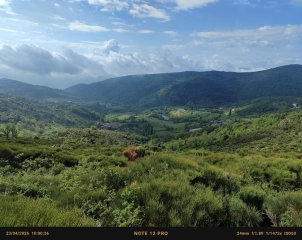 ST CIERGE LA SERRE - SERRE DE GRUAS-ardeche