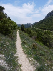 CHAMES - VALLEE DU TIOURRE-ardeche