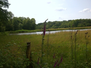 SAINT-GERMAIN - L EAU ET LA PIERRE-haute-saone