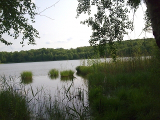 SAINT-GERMAIN - L EAU ET LA PIERRE-haute-saone