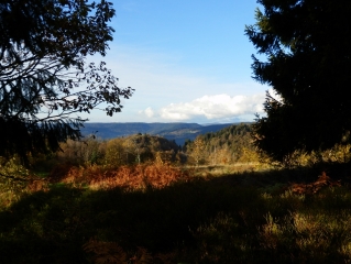 SENTIER DES ECOLIERS-haute-saone