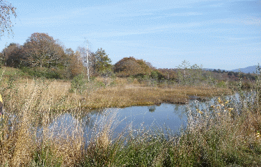 PALTEAU DES GRILLOUX-haute-saone