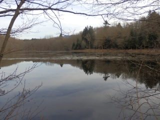 MELISEY - DE LA NOIE VILLERAND AU GRAND ROSBECK-haute-saone