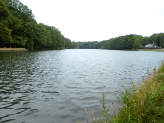 LE LAC DES 7 CHEVAUX-haute-saone