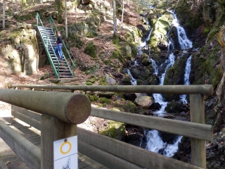 SENTIER DE RONDE DE LA FORET DE ST ANTOINE-haute-saone