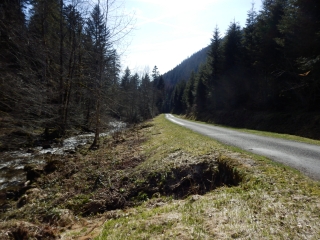 SENTIER DE RONDE DE LA FORET DE ST ANTOINE-haute-saone