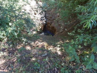 LE SENTIER DE LA COTE-haute-saone