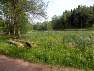 LE CIRCUIT DE LA MER-haute-saone