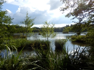 LE CIRCUIT DE LA MER-haute-saone