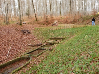 LA FORET DOMANIALE DU BANNEY-haute-saone