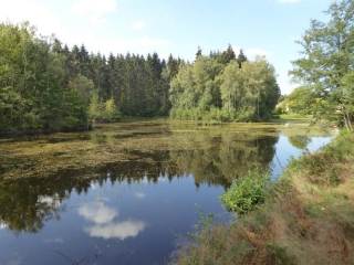 AU COEUR DES 1000 ETANGS-haute-saone