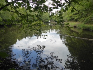 AU COEUR DES 1000 ETANGS-haute-saone