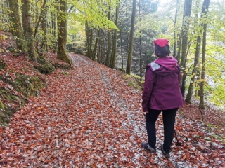 LA DOYE - MELISEY-haute-saone