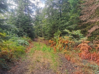 LA DOYE - MELISEY-haute-saone