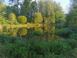 ETANG LA DAME-haute-saone