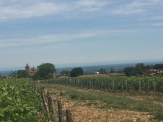 HURIGNY - LES CRETES DU GROS MONT-saone-et-loire