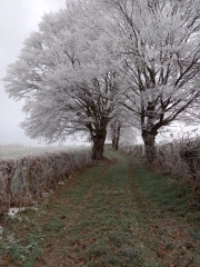 IGUERANDE ET SES SEPT COLLINES-saone-et-loire