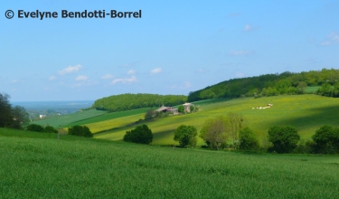 PLOTTES – LE SENTIER DES CRêTES-saone-et-loire