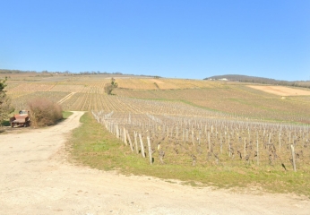 IGé - LA RANDONNéE OENOTOURISTIQUE D'IGé-saone-et-loire