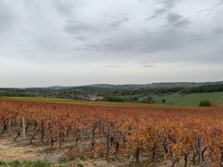 MANCEY (71) - CIRCUIT DES TERRASSES (MA2)-saone-et-loire