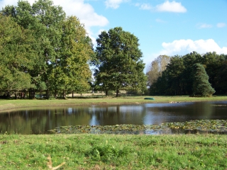 SAINT-OUEN-EN-BELIN - CHATEAU L HERMITAGE-sarthe