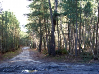 PARIGNE-L EVEQUE-sarthe