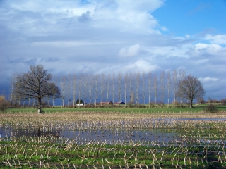 BOUCLE AU NORD DE ST-OUEN-EN-BELIN-sarthe