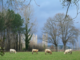 BOUCLE AU NORD DE ST-OUEN-EN-BELIN-sarthe