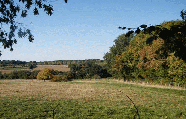 PRUILLE-LE-CHETIF-sarthe