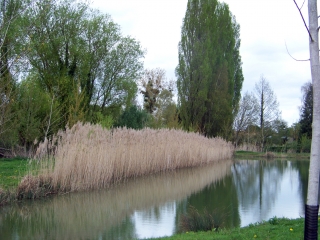 LE BREIL-SUR-MERIZE-sarthe