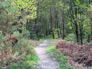 PRUILLE-L EGUILLE-sarthe