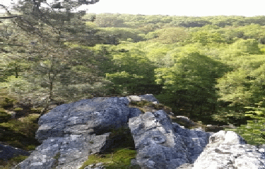 MONTREUIL-LE-CHETIF-sarthe