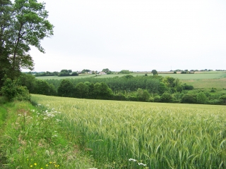 SAINTE-OSMANE-sarthe