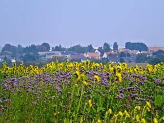 TENNIE - LES 3 COURS D EAU-sarthe