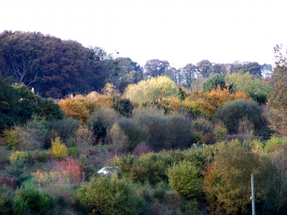 SAINT-SATURNIN-sarthe