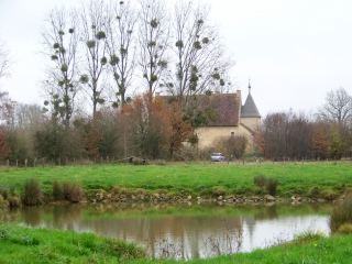 LES ARDRIERS - SAINT-OUEN-EN-BELIN-sarthe