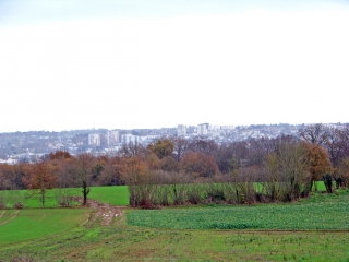 CHAPELLE-ST-AUBIN - CROIX DE VERON-sarthe
