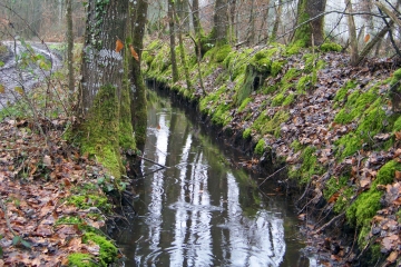 AU SUD DE SOULIGNE-SOUS-BALLON-sarthe