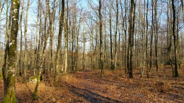 LES LOGES DE JUPILLES-sarthe