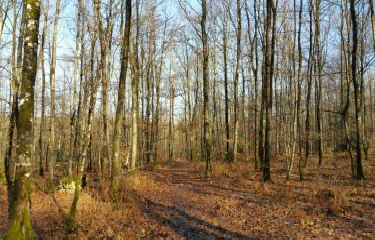 LES LOGES DE JUPILLES-sarthe